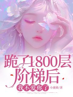 跪了1800层阶梯后，我不爱你了小蜜蜂最新小说全文阅读