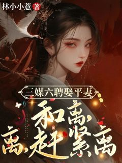 【新书】《三媒六聘娶平妻？和离，离！赶紧离》主角姜揽月宋宁风全文全章节小说阅读