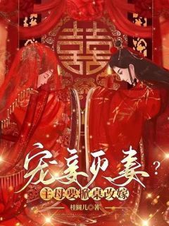 无广告小说宠妾灭妻？主母要掀桌改嫁 李锦棠霍雷霆在线阅读