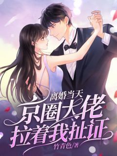 【完结版】《离婚当天京圈大佬拉着我扯证主角苏沐顾言鹤章节在线阅读