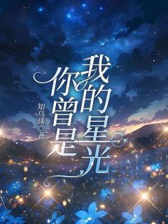 【抖音小说你曾是我的星光txt全文在线阅读