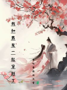 许念陆泽小说全文阅读