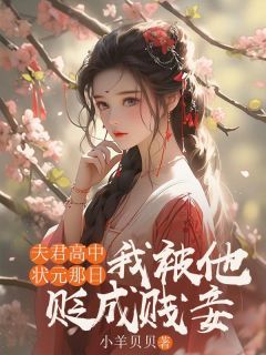 《夫君高中状元那日，我被他贬成贱妾》by小羊贝贝