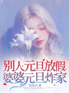 小说别人元旦放假，婆婆元旦炸家无广告阅读