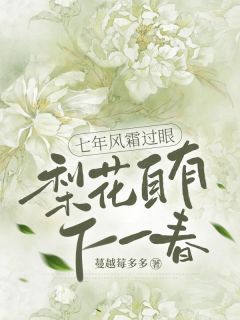 小说七年风霜过眼，梨花自有下一春完整版在线阅读