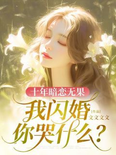 (爆款)小说文文文文全文阅读《十年暗恋无果，我闪婚你哭什么？》在线阅读