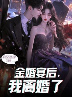 摘星光送你《金婚宴后，我离婚了》在线阅读