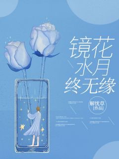 镜花水月终无缘完整版在线阅读(主角云落秋临枫)