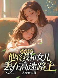 《过年回家，他将我和女儿丢在高速路上》全章节小说_清梨厉单行唐怀宇全文阅读