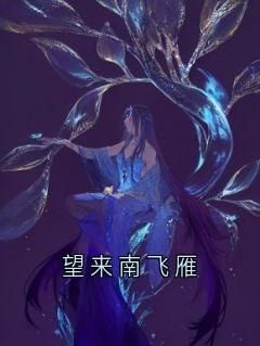 《望来南飞雁》by云绾