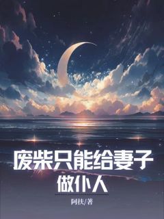 【新书】《废材只能给妻子做仆人》主角孔辉沈月澜阿肆全文全章节小说阅读