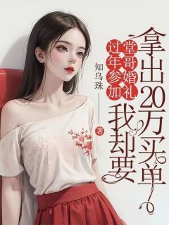 【完结版】《过年参加堂哥婚礼，我却要拿出20万买单主角王灵灵章节在线阅读