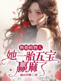 林瑾厉辰小说阅读