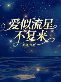 完结《爱似流星不复来》宋清冉可儿小说全章节目录阅读