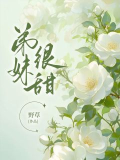 (无弹窗)弟妹很甜小说