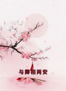 夜澜雨小说与卿相两安与卿相两安：结局+番外第2章  