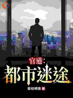 《官道：都市迷途》by曾经喂猪