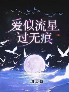 爱似流星过无痕大结局免费阅读全文