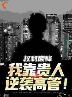 【完结版】《权利巅峰：我靠贵人逆袭高管！主角陆小阳乔江波章节在线阅读