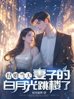 【新书】《结婚当天，妻子的白月光跳楼了》主角沈慕寒白沙沙全文全章节小说阅读