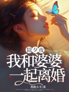 除夕夜，我和婆婆一起离婚by勇敢小羊在线阅读