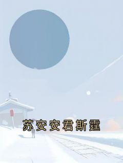 小说苏安安君斯霆txt全文在线阅读