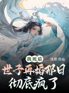 如烟沈云州林念小说 第2章无错版阅读