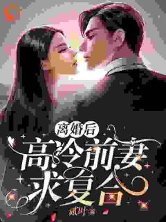 离婚后，高冷前妻求复合未删减阅读