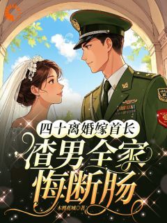 【知乎】《四十离婚嫁首长，渣男全家悔断肠》司蓉沈澜完结版免费阅读