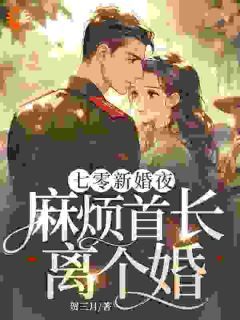 《七零新婚夜，麻烦首长离个婚！》by贺三月