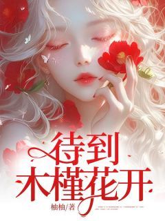 【知乎】《待到木槿花开》许攸蒋渡完结版免费阅读