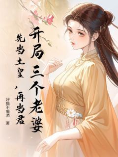 完结《开局三个老婆，先当土皇，再当君》孙坚周婉儿小说全章节目录阅读