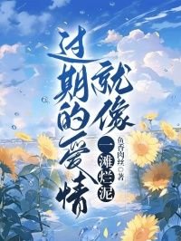 【知乎】《过期的爱情就像一滩烂泥》陆念念杜明完结版免费阅读