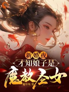 【抖音】小说新婚夜，才知娘子是魔教圣女无广告阅读