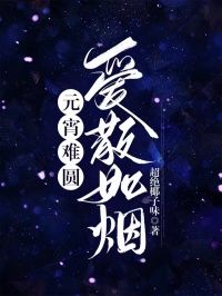 元宵难圆，爱散如烟  第二章