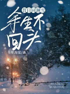 小说昔日同淋雪，余生不回头完整版在线阅读