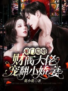 完结《豪门隐婚，财阀大佬宠翻小娇妻》于浅浅君玿城小说全章节目录阅读