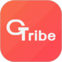 Gribe